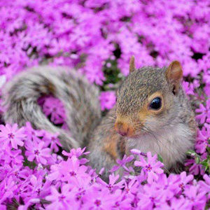 Meet your Posher, Michele